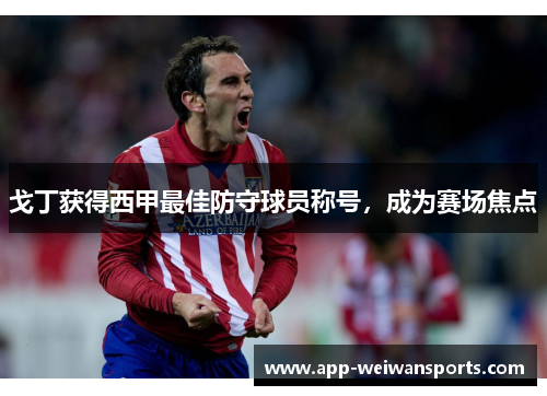 戈丁获得西甲最佳防守球员称号，成为赛场焦点